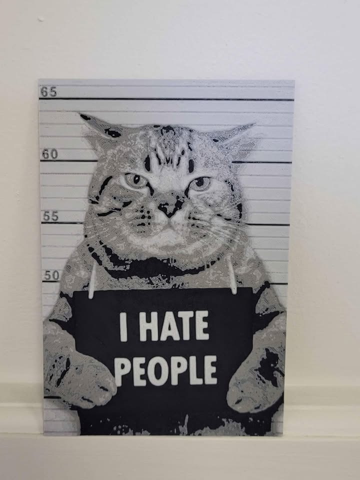 Inspirational Funny Cat Decor