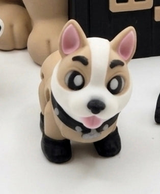 Corgi House and Pups